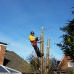 Tree Removal Near Chorley
