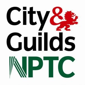 tree surgeon in St Helens
