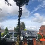 tree surgeons st helens