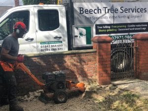 stump grinding st helens