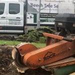 Stump Grinding Services