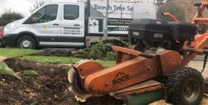 Stump Grinding Warrington