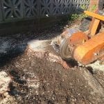 Stump Grinding