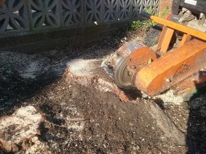 Stump Grinding Chorley