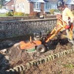 Stump Grinding near me