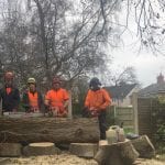 tree surgeons
