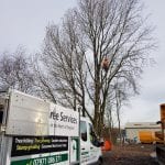 Tree Removal Formby