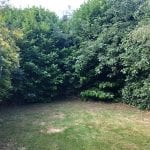 garden clearance