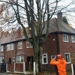 tree surgeon