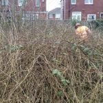 garden clearance northwood