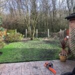 manchester tree removal
