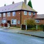 tree surgeons astley