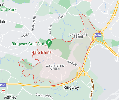 tree surgeon hale barns