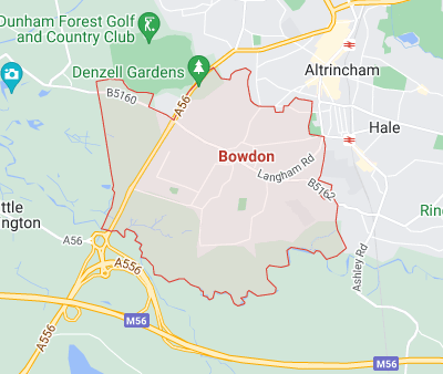 tree surgeon bowden