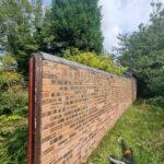 ivy removal near me