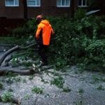 storm damage tree removal