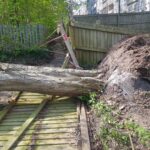 windblown tree removal wigan