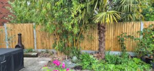bamboo removal chorley