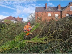 garden clearance near me