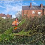 garden clearances near me