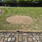 tree removal near me