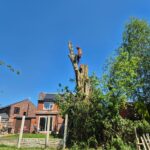 ormskirk tree removal