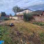 chorley tree removal