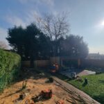ormskirk tree removal company