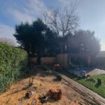tree removal worsley