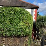 garden clearance completed near me