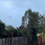 tree removal job completed in aspull