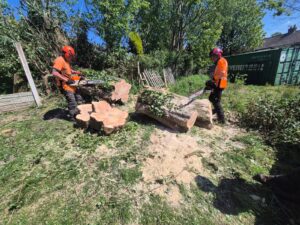 tree removal job completed in standish